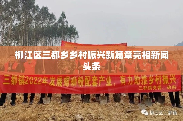 柳江區三都鄉鄉村振興新篇章亮相新聞頭條