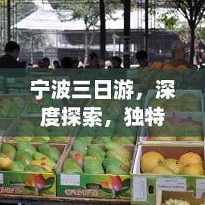 寧波三日游，深度探索，獨特體驗之旅