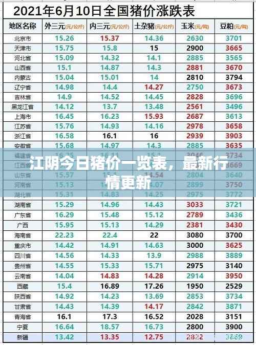 江陰今日豬價一覽表，最新行情更新