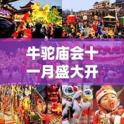 牛駝廟會十一月盛大開放，最新消息揭秘活動安排