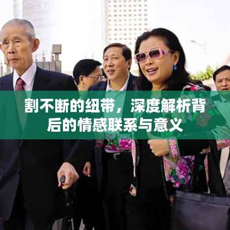 割不斷的紐帶，深度解析背后的情感聯系與意義