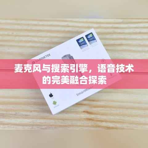 麥克風與搜索引擎，語音技術的完美融合探索