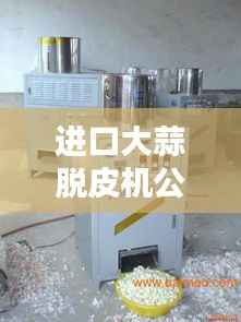 進口大蒜脫皮機公司排行榜揭曉，權威排名一網打盡！
