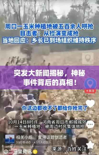 突發大新聞揭秘，神秘事件背后的真相！