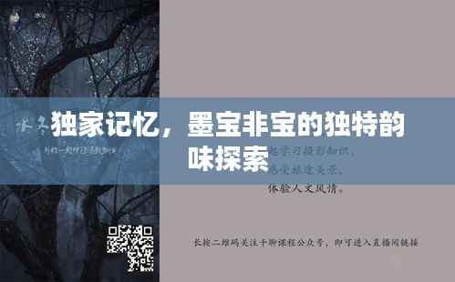 獨家記憶，墨寶非寶的獨特韻味探索