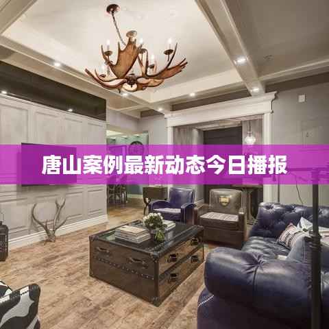 唐山案例最新動態今日播報