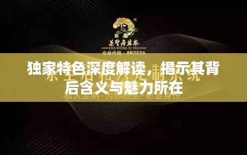 獨家特色深度解讀，揭示其背后含義與魅力所在