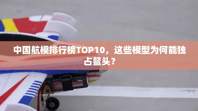 中國航模排行榜TOP10，這些模型為何能獨占鰲頭？