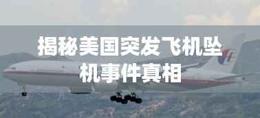 揭秘美國突發飛機墜機事件真相