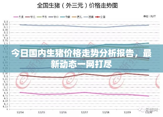 今日國內生豬價格走勢分析報告，最新動態一網打盡