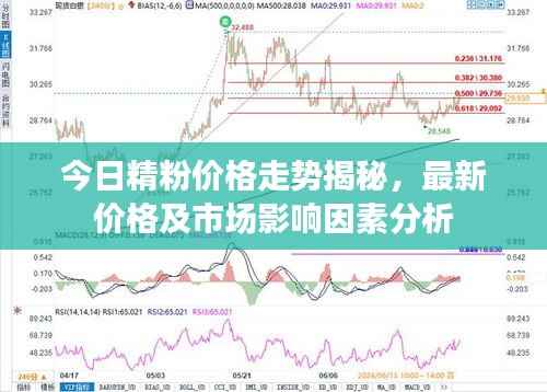 今日精粉價(jià)格走勢揭秘，最新價(jià)格及市場影響因素分析