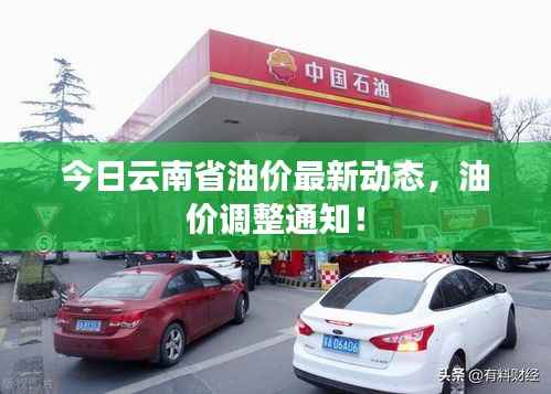 今日云南省油價最新動態，油價調整通知！