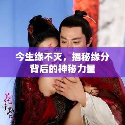 今生緣不滅，揭秘緣分背后的神秘力量