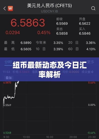 紐幣最新動態及今日匯率解析