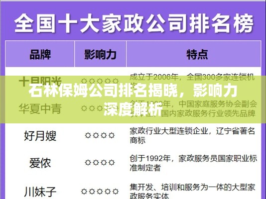 石林保姆公司排名揭曉，影響力深度解析