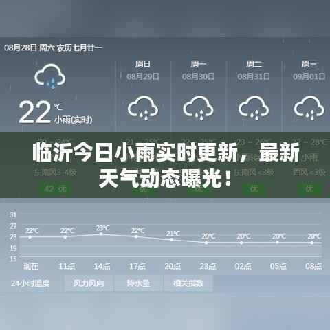臨沂今日小雨實時更新，最新天氣動態曝光！