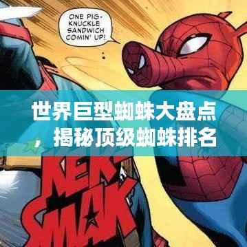 世界巨型蜘蛛大盤點，揭秘頂級蜘蛛排名！