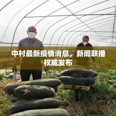 中村最新疫情消息，新聞聯播權威發布