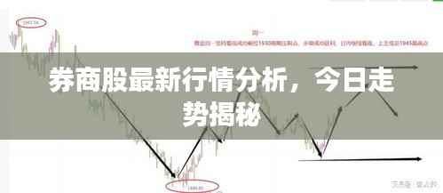 券商股最新行情分析，今日走勢揭秘