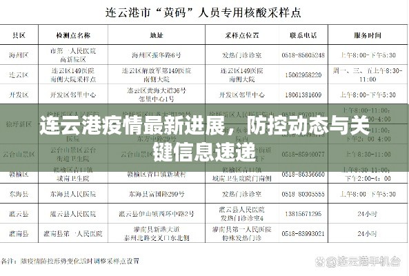 連云港疫情最新進展，防控動態與關鍵信息速遞