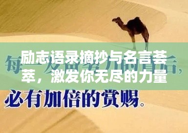 勵志語錄摘抄與名言薈萃，激發你無盡的力量源泉