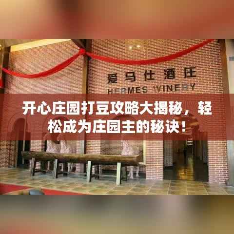 開心莊園打豆攻略大揭秘，輕松成為莊園主的秘訣！