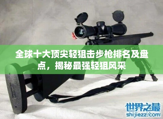 全球十大頂尖輕狙擊步槍排名及盤點，揭秘最強輕狙風采
