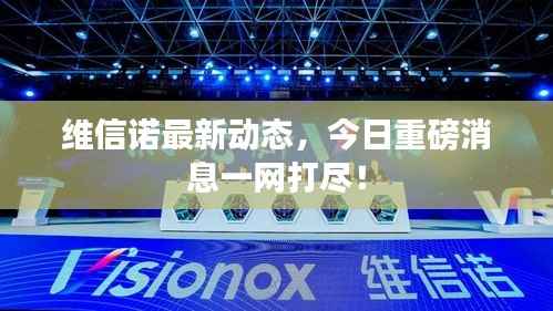 維信諾最新動(dòng)態(tài)，今日重磅消息一網(wǎng)打盡！