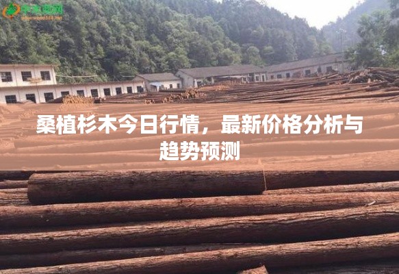 桑植杉木今日行情，最新價格分析與趨勢預測