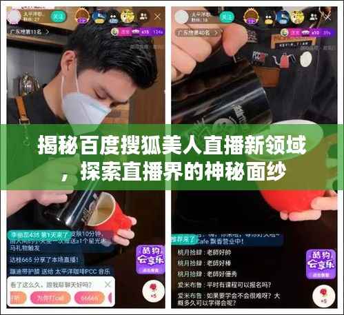 揭秘百度搜狐美人直播新領域，探索直播界的神秘面紗