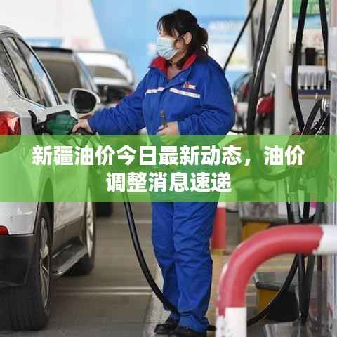 新疆油價今日最新動態，油價調整消息速遞