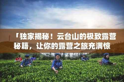 「獨家揭秘！云臺山的極致露營秘籍，讓你的露營之旅充滿驚喜！」
