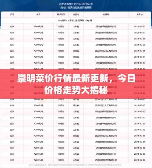 崇明菜價(jià)行情最新更新，今日價(jià)格走勢(shì)大揭秘