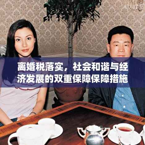 離婚稅落實(shí)，社會(huì)和諧與經(jīng)濟(jì)發(fā)展的雙重保障保障措施落地實(shí)施，離婚稅助力社會(huì)和諧與經(jīng)濟(jì)發(fā)展