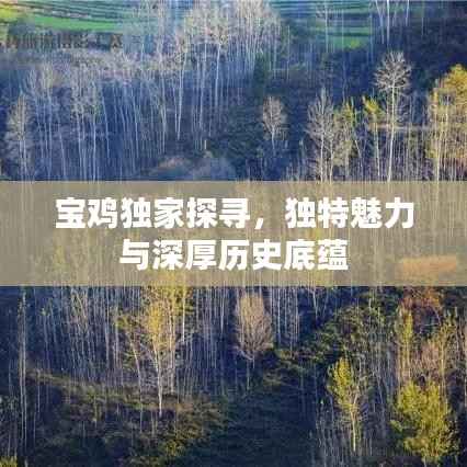 寶雞獨家探尋，獨特魅力與深厚歷史底蘊
