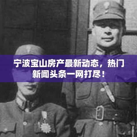 寧波寶山房產最新動態，熱門新聞頭條一網打盡！