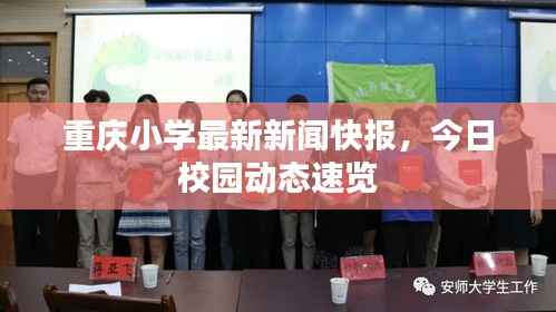 重慶小學最新新聞快報，今日校園動態(tài)速覽