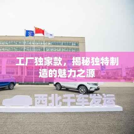 工廠獨家款，揭秘獨特制造的魅力之源