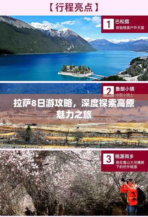 拉薩8日游攻略，深度探索高原魅力之旅