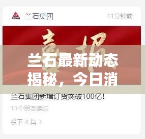 蘭石最新動態揭秘，今日消息一網打盡！