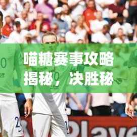 喵糖賽事攻略揭秘，決勝秘訣助你輕松奪冠！