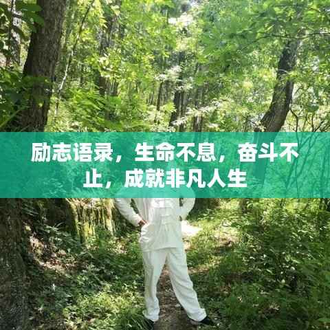 勵志語錄，生命不息，奮斗不止，成就非凡人生