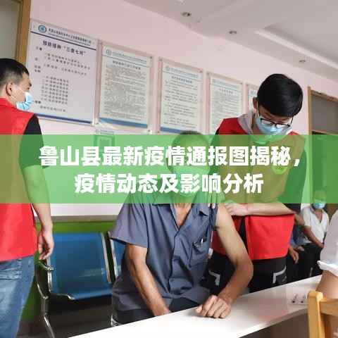 魯山縣最新疫情通報圖揭秘，疫情動態(tài)及影響分析