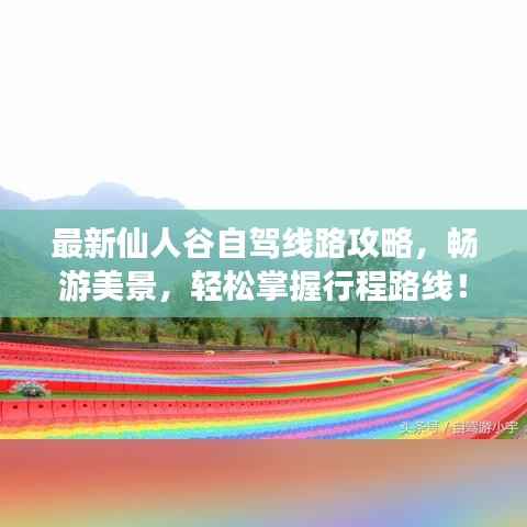最新仙人谷自駕線路攻略，暢游美景，輕松掌握行程路線！