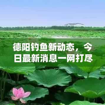 德陽釣魚新動態，今日最新消息一網打盡！