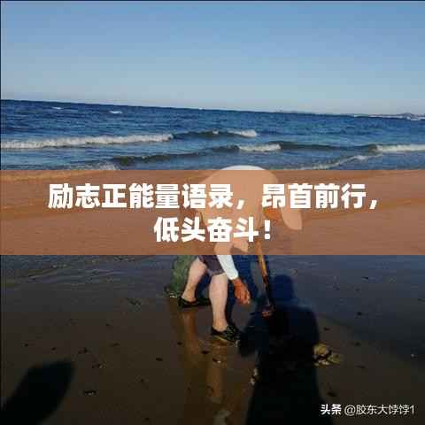 勵志正能量語錄，昂首前行，低頭奮斗！