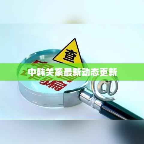 中韓關系最新動態更新