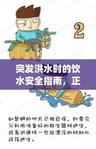 突發洪水時的飲水安全指南，正確飲水視頻教程助你應對危機