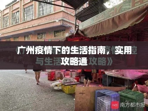 廣州疫情下的生活指南，實(shí)用攻略通