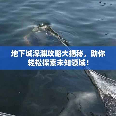 地下城深淵攻略大揭秘，助你輕松探索未知領域！